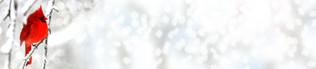 CHAMPs Homeschool Co-op